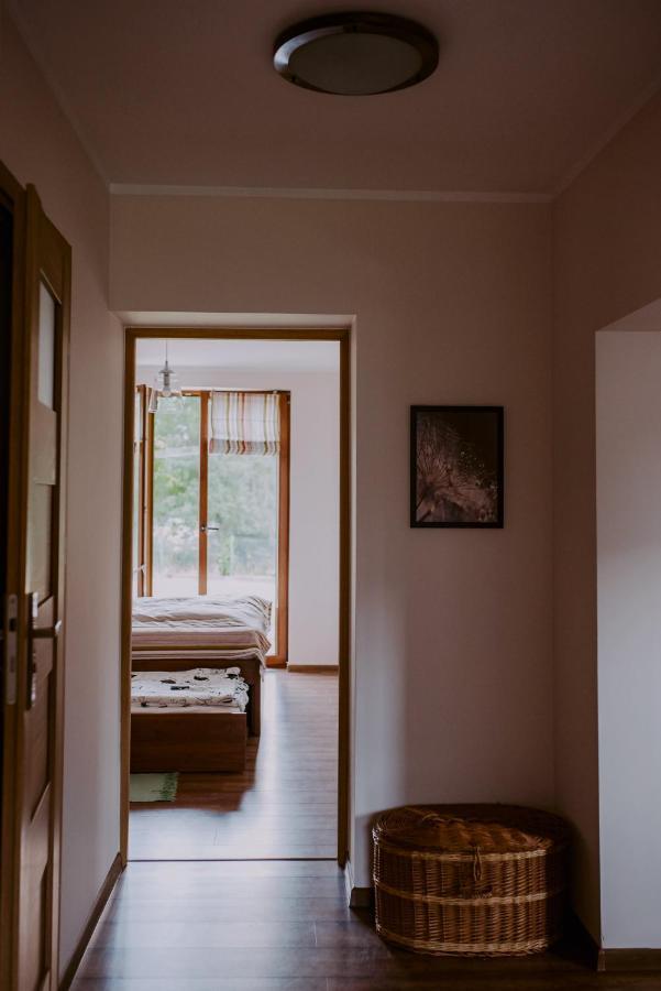 Dom Wypoczynkowy - Alexander Cisiec Zewnętrze zdjęcie